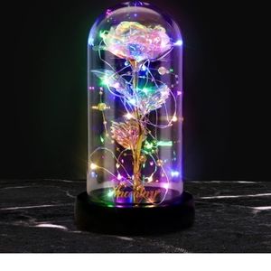GORGEOUS VALENTINES GIFT LIGHTED ROSE UNDER GLASS DOME GIFTS